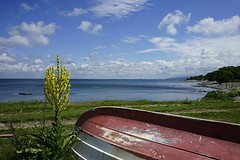 Kattvik