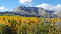 Many glacier park