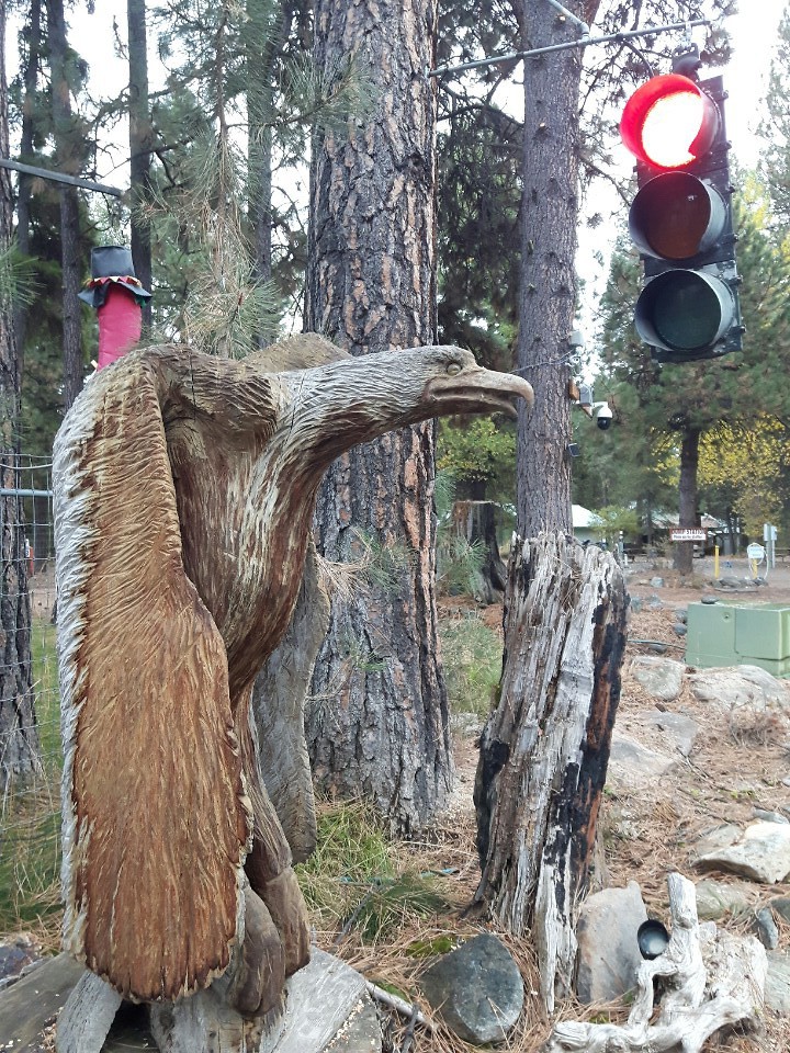 Eddy the Eagle