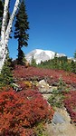 Fall