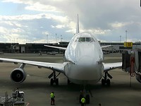 White Eagle LH493