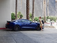 Nice, Marianne and Stang.