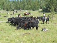 IMG_2157