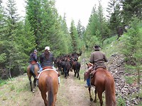 IMG_2158