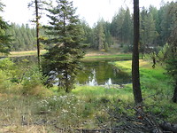 DSC02466