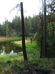 DSC02467