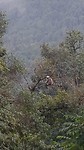 20191019_153906