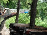 de trein sjokt verder over het niet al te beste spoor