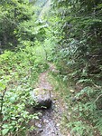 Geocaching = trail Iron Horse cache wordt smaller