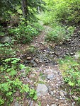 veel waterstroompjes over de trail Iron Horse cache
