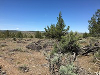Trail landschap bij Rest-Area tussen Bend en Boise