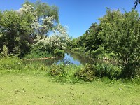 aan de wandel in Waterfront Park