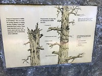 info ergens in Waterfront Park