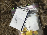 Geocaching - en nog een log getekend
