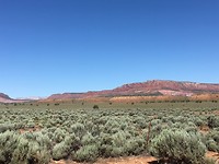 IMG_0363