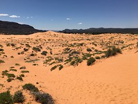IMG_0366