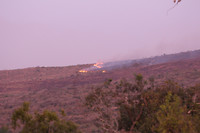 Fires to burn down the scrubs
