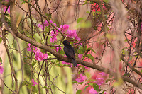 IMG_5638