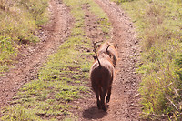 IMG_5782