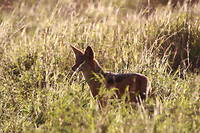 IMG_5813