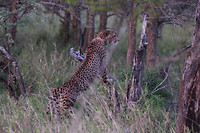 IMG_5853