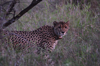 IMG_5865