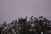 IMG_0525