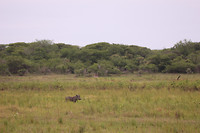 IMG_0544