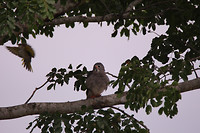 IMG_0568