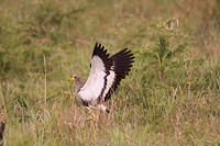 IMG_1263
