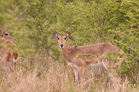 IMG_1863