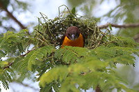 IMG_1937