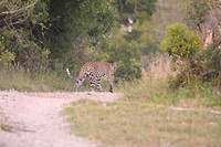 IMG_2071