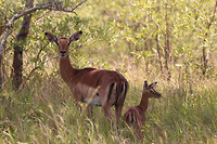 IMG_2379