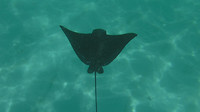 DSCF0024