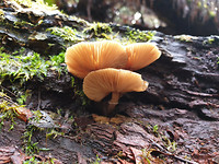 20190527_131509