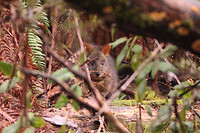 IMG_1160