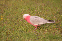 IMG_1351