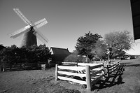 IMG_1576