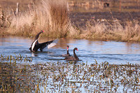 IMG_1611