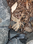 20190518_160629