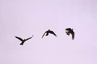 IMG_2673