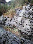 IMG_20181223_163829