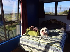 Onze kamer in Birdsong