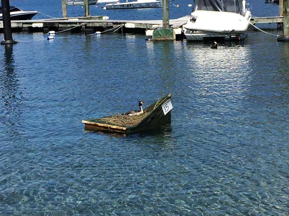 Fuuten op een eigen bootje.