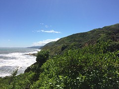 Abel Tasmanzee