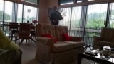 Onze gastheer speelt op z'n bagpipe