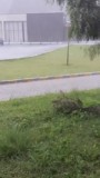 Flinke hoosbui (met hagel!) op vrijdag 26 augustus