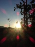 Walking into the sun!