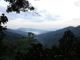 Morning view from tree house